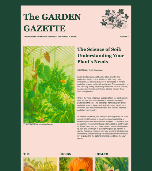 Editorial Newsletter email template preview