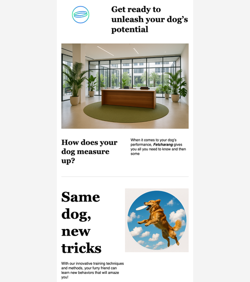 About Us email template preview